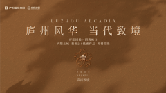 合肥市第一人民医院（三甲）距项目 1 公里