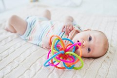 证书与报告提交：通过审