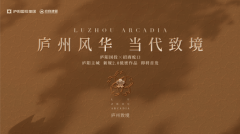 项目坐拥庐阳行政、教育