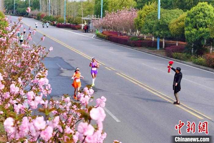 枝江女子半程马拉松鸣枪开跑 8000女性跑者共赴春