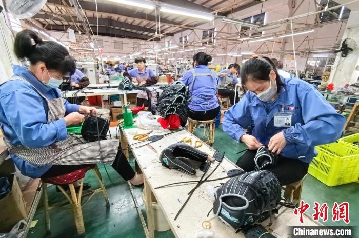 福建连城与台湾棒球携手共筑两岸青少年交流桥